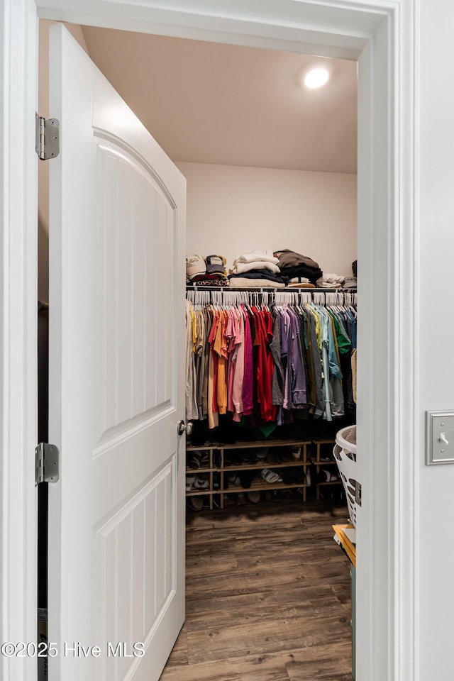 walk in closet featuring wood finished floors