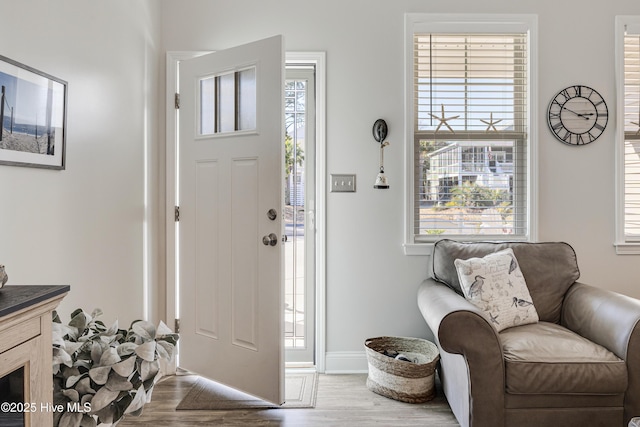 entrance foyer featuring baseboards and wood finished floors