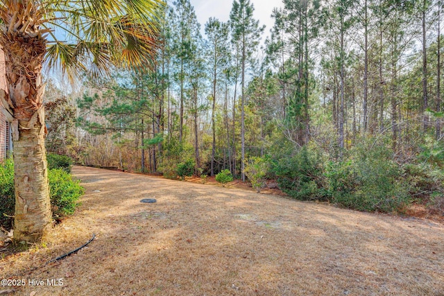 view of yard with a forest view