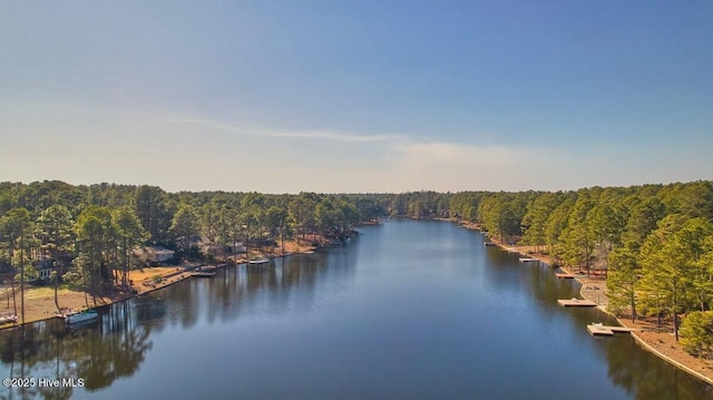 water view featuring a forest view