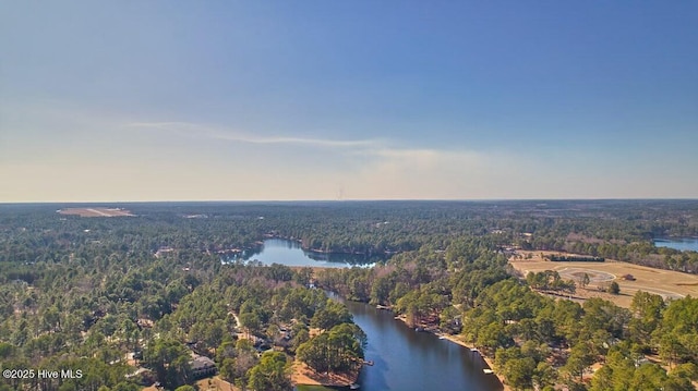 bird's eye view with a water view and a wooded view