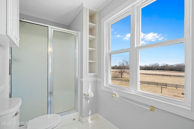 bathroom with a healthy amount of sunlight, a shower stall, and ornamental molding