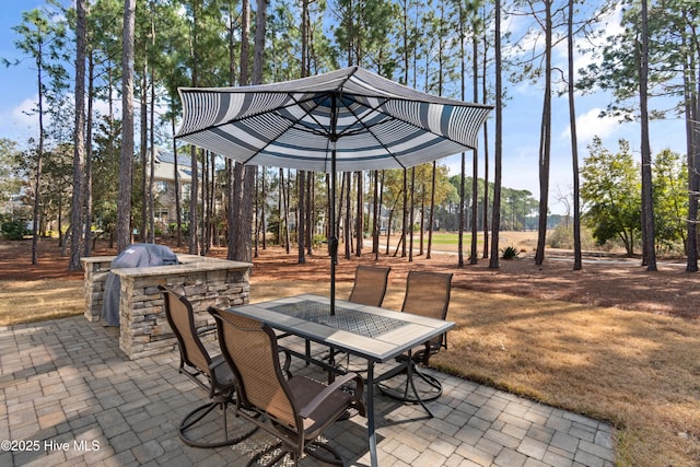 view of patio featuring outdoor dining area and an outdoor kitchen