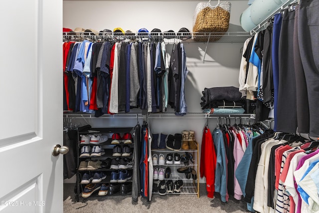 walk in closet featuring carpet floors