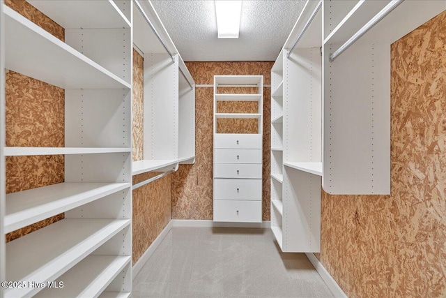 spacious closet featuring carpet floors