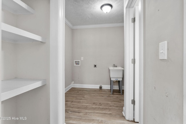 920 Shelter Creek Dr, Burgaw, NC 28425 - washroom featuring wood finished floors, ornamental molding, a textured ceiling, electric dryer hookup, and washer hookup