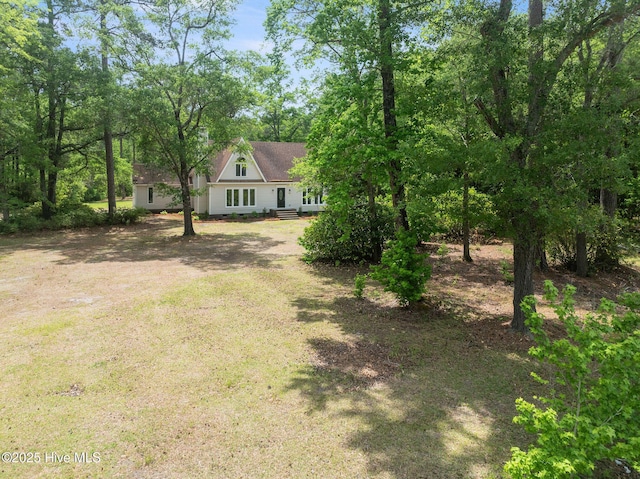 920 Shelter Creek Dr, Burgaw, NC 28425 - view of yard