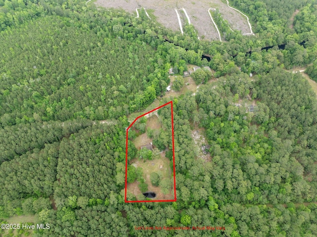 920 Shelter Creek Dr, Burgaw, NC 28425 - aerial view with a wooded view