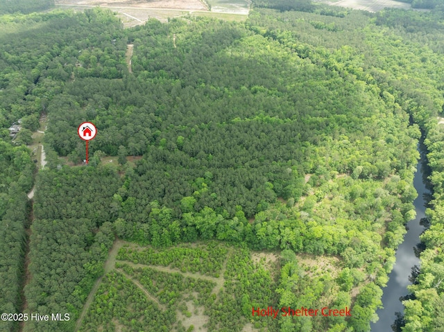 920 Shelter Creek Dr, Burgaw, NC 28425 - drone / aerial view featuring a forest view