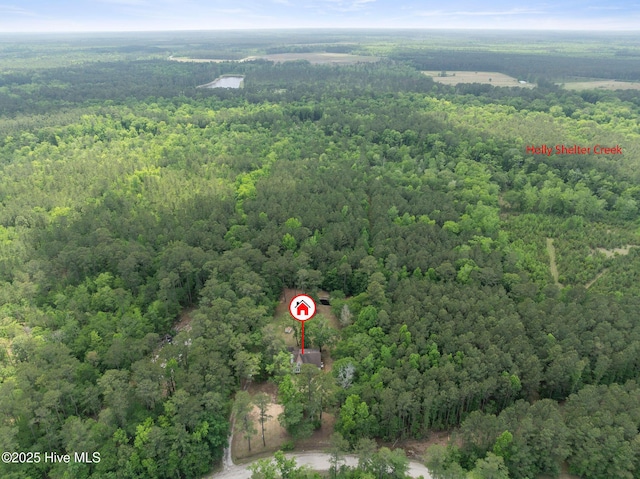 920 Shelter Creek Dr, Burgaw, NC 28425 - aerial view featuring a forest view