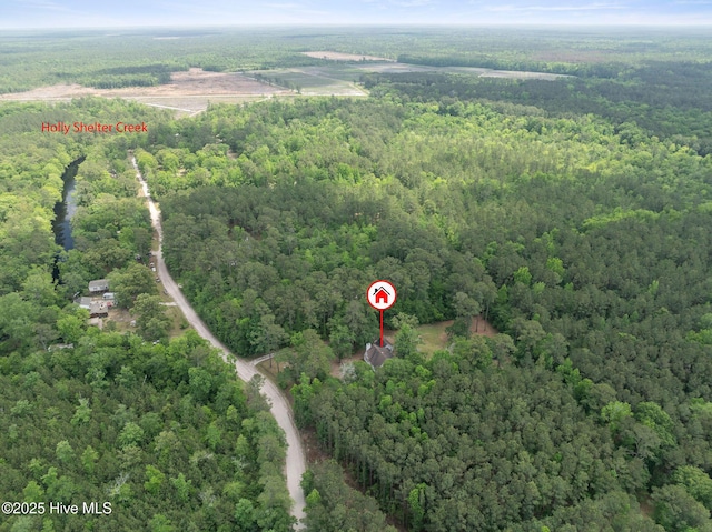 920 Shelter Creek Dr, Burgaw, NC 28425 - bird's eye view with a forest view