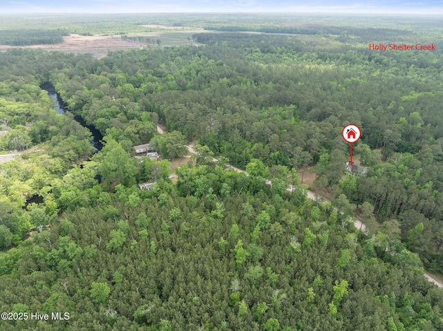 920 Shelter Creek Dr, Burgaw, NC 28425 - drone / aerial view featuring a wooded view