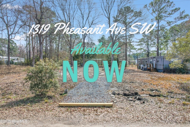 Listing photo 3 for 1319 Pheasant Ave SW, Supply NC 28462