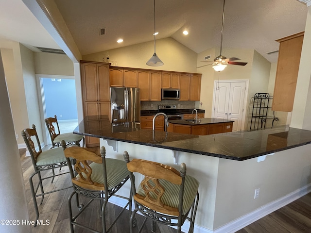 kitchen featuring an island with sink, a sink, appliances with stainless steel finishes, and dark wood-style flooring