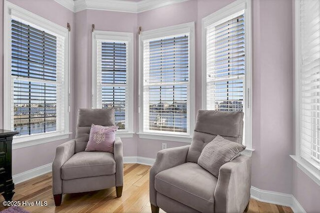 sitting room featuring light wood finished floors, baseboards, and ornamental molding