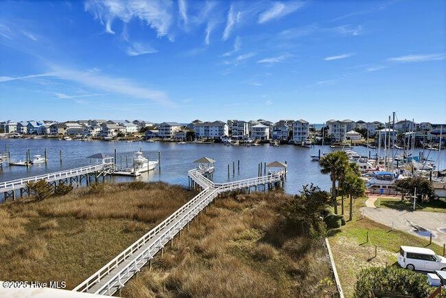 dock area with a water view