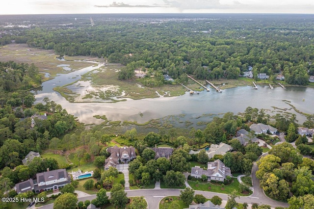 bird's eye view featuring a water view and a forest view