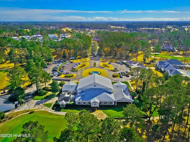 bird's eye view