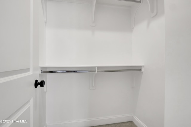 view of spacious closet