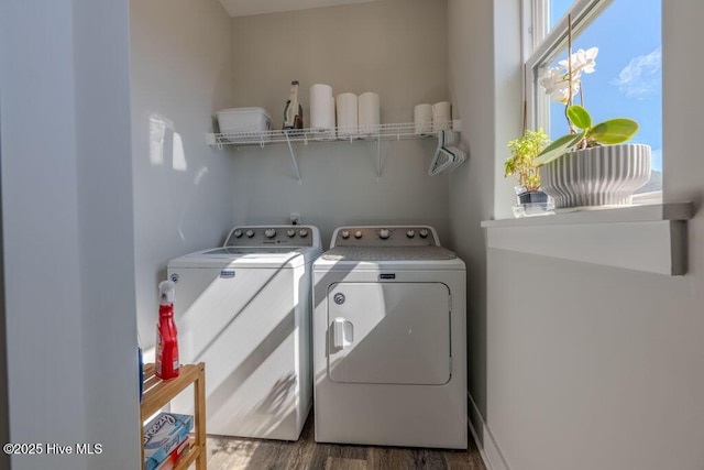 clothes washing area featuring laundry area, washer and clothes dryer, and dark wood-style flooring