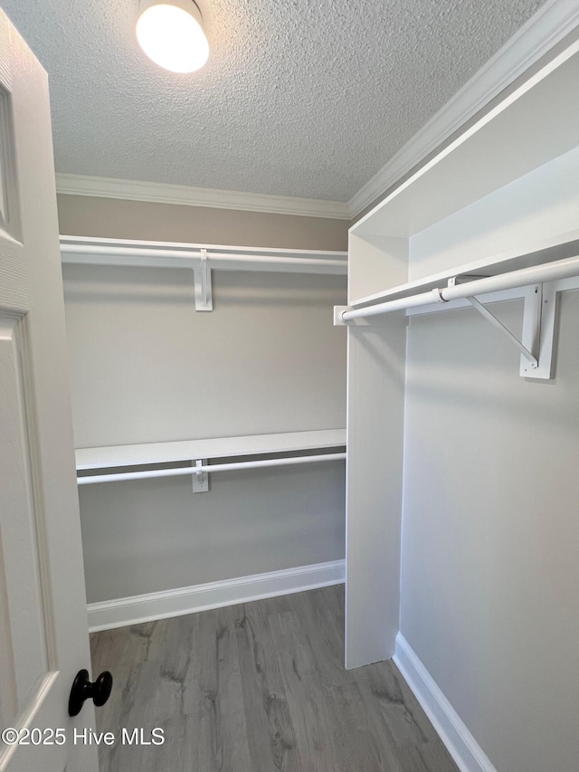 walk in closet with dark wood-type flooring