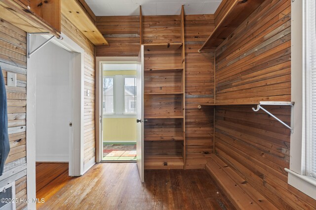 walk in closet with wood-type flooring