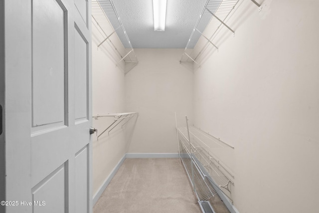 walk in closet featuring visible vents and light colored carpet