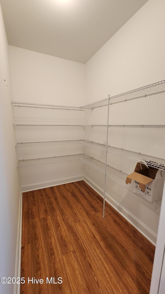 walk in closet with wood finished floors