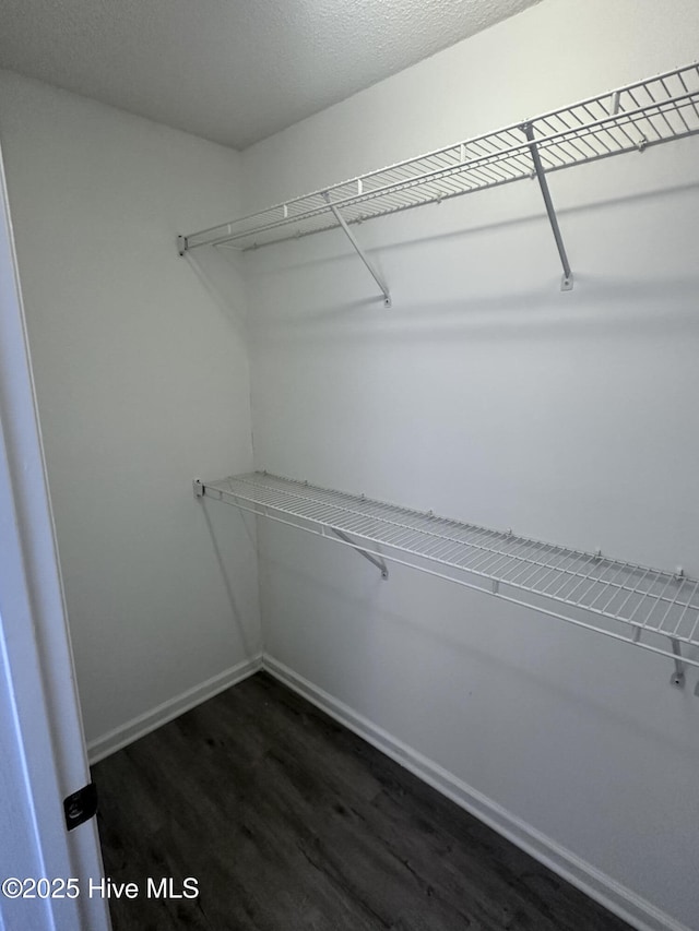 spacious closet featuring dark wood-type flooring