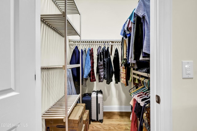 walk in closet featuring wood finished floors