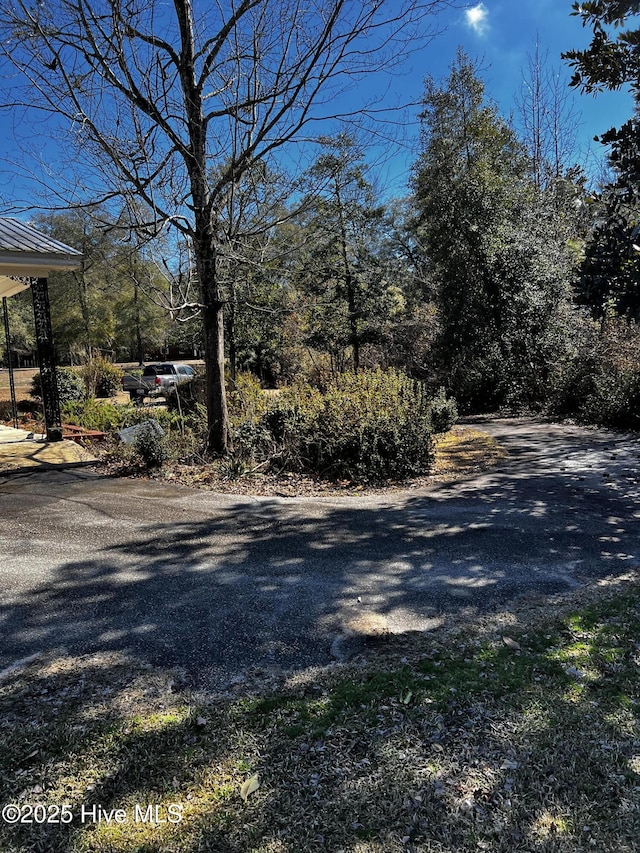 323 Hoover Rd, White Oak, NC 28399 - view of asphalt road