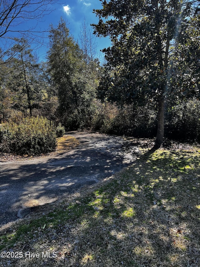 323 Hoover Rd, White Oak, NC 28399 - view of asphalt street with a forest view