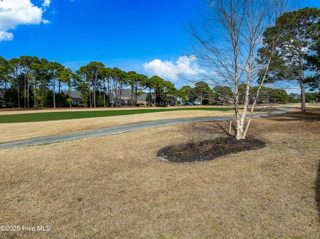 view of home's community featuring a yard