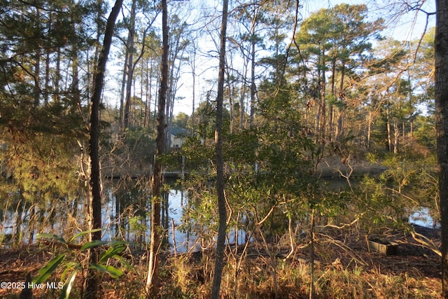 Listing photo 2 for 6009 Harbour Way Unit 5, Oriental NC 28571