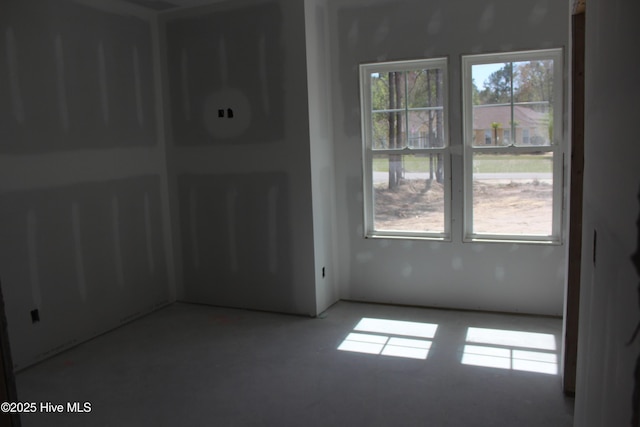 empty room featuring a wealth of natural light