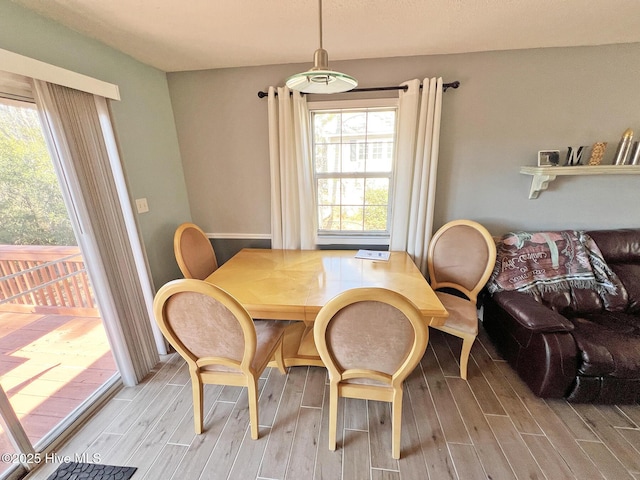 dining room featuring wood tiled floor