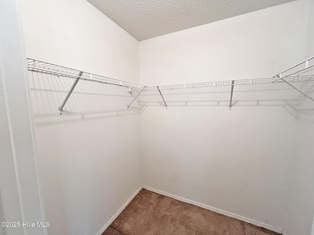141 N Lake Dr, Boiling Spring Lakes, NC 28461 - walk in closet with carpet floors
