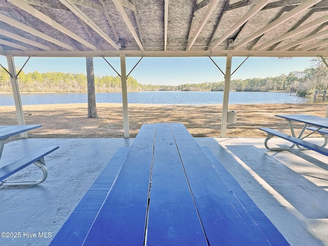 dock area with a water view