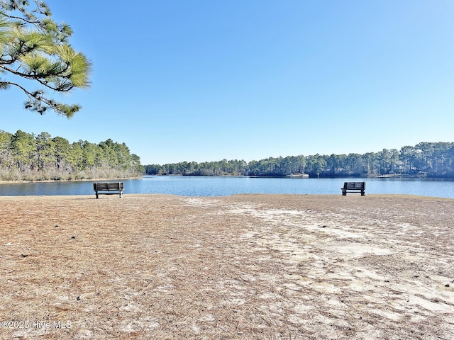 water view with a forest view