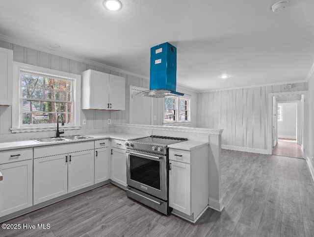 kitchen with plenty of natural light, island range hood, stainless steel range, crown molding, and a sink