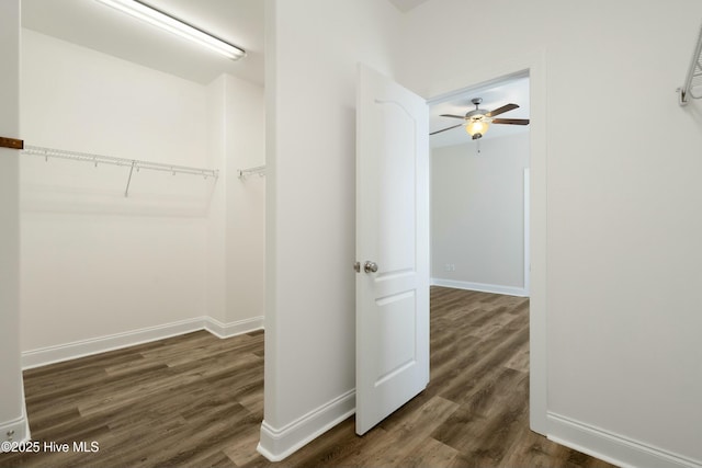 walk in closet with dark wood-style floors