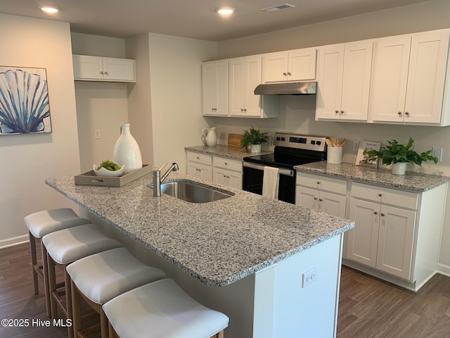 kitchen with white cabinetry, a sink, electric range, and an island with sink