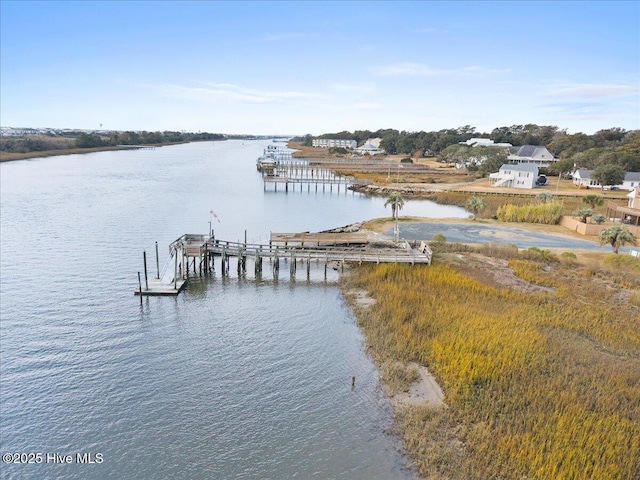 dock area with a water view