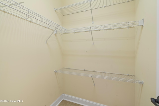 view of spacious closet