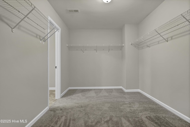 spacious closet featuring carpet floors and visible vents