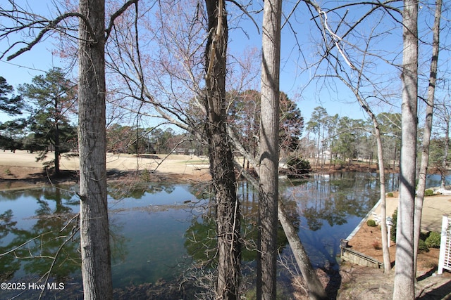 view of water feature