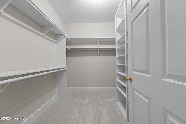 walk in closet featuring light carpet