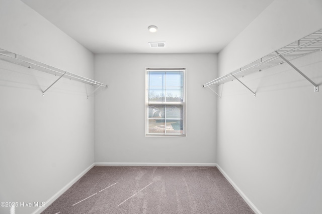 walk in closet featuring carpet floors and visible vents