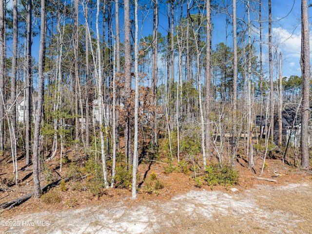 view of local wilderness with a wooded view