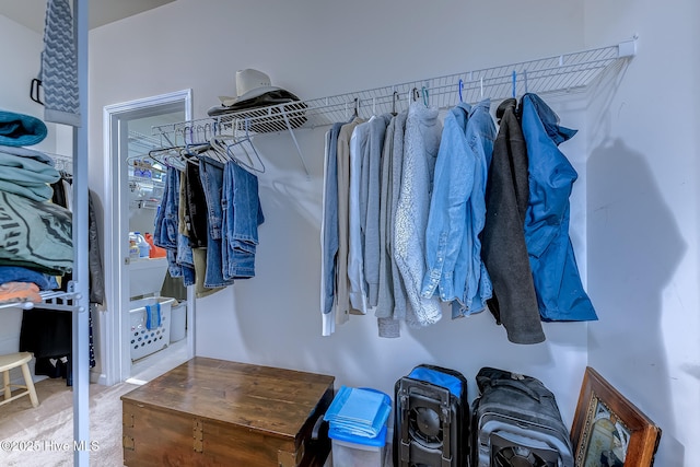 spacious closet with carpet floors